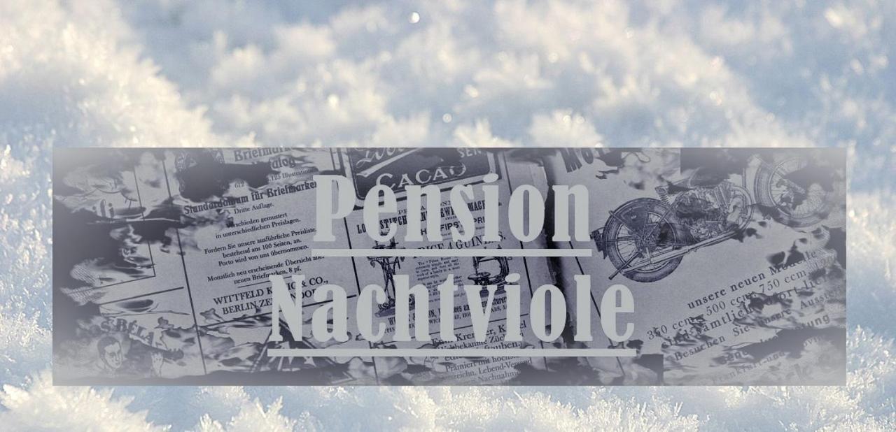 Pension Nachtviole Hüttau Zewnętrze zdjęcie
